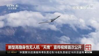 国产公开免费视频,带你领略光影魅力 第2张 国产公开免费视频,带你领略光影魅力 第2张