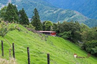 青青草国产线观,青青草的青春旋律与时代印记 第2张 青青草国产线观,青青草的青春旋律与时代印记 第2张