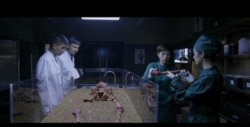 国产观看视频,精彩瞬间回顾 第2张 国产观看视频,精彩瞬间回顾 第2张