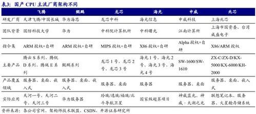 91国产a,引领潮流的国产创新力量
