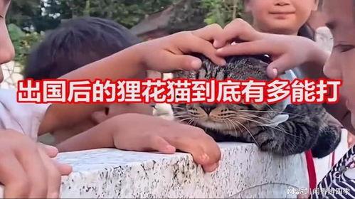 国产咪咪,引领时尚潮流的本土品牌新势力 第3张 国产咪咪,引领时尚潮流的本土品牌新势力 第3张