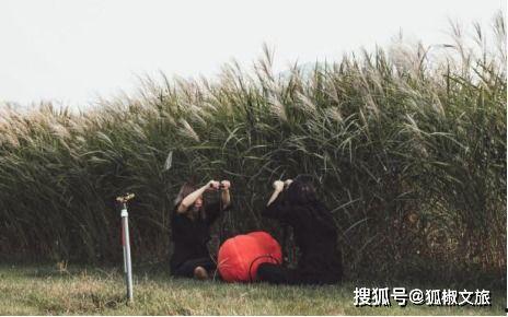 国产伊甸园,探寻东方梦幻乐园的奇幻之旅 第2张 国产伊甸园,探寻东方梦幻乐园的奇幻之旅 第2张