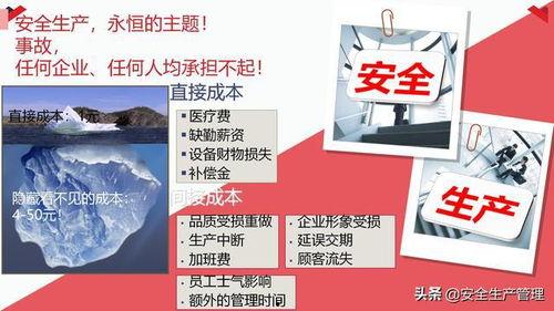 国产29页,揭秘我国科技发展的新篇章  第2张