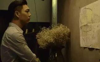 国产毛片区,探寻民族特色与时尚潮流的完美融合 第2张 国产毛片区,探寻民族特色与时尚潮流的完美融合 第2张